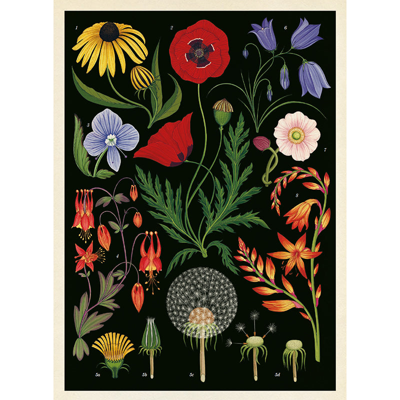 Forlaget Mammut, Botanicum