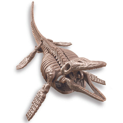 4M Udgrav et Mosasaurus-skelet