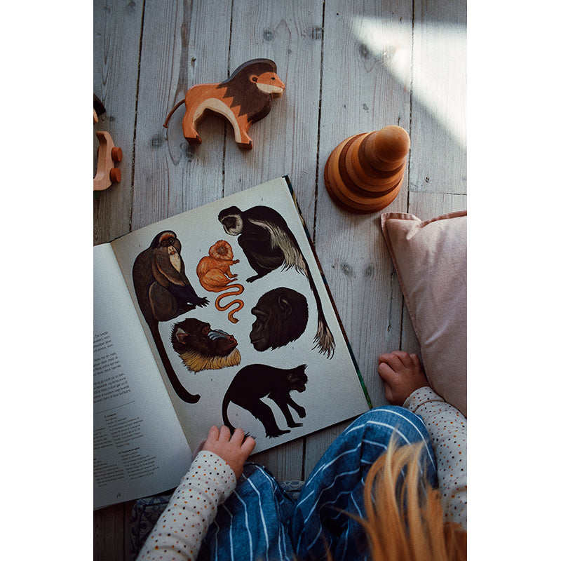 Forlaget Mammut, Animalium