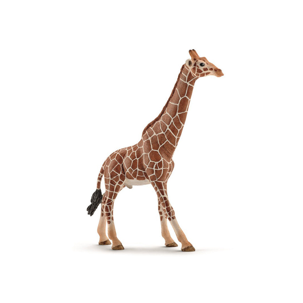 Schleich hangiraf